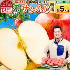 りんご 葉とらずサンふじ 約5kg