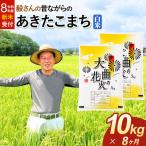 米 特別栽培米 あきたこまち 10kg