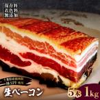 生ベーコン 5本