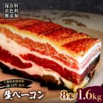 生ベーコン 8本