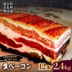 生ベーコン 12本