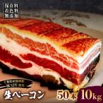 生ベーコン 50本