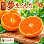 訳あり まどんな 2kg