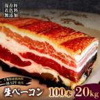 生ベーコン 100本