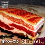生ベーコン 300本