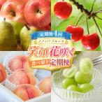 ノノハナフルーツ 笑顔花咲く定期便 FY26-233