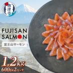 富士山サーモン R 3枚フィレ 600g×2P