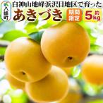 ~白神山地峰浜沢目地区で育った和梨 あきづき 約5kg