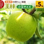 りんご 金星 約5kg
