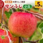 りんご サンふじ 約5kg
