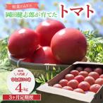 定期便3回 野菜ソムリエ岡田健志郎が育てた