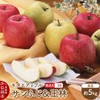 りんご サンふじ 王林 約5kg