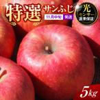 りんご 約5kg