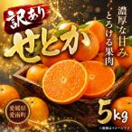 訳あり せとか 5kg