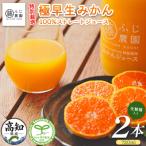 みかん100%ストレートジュース 720ml×2本