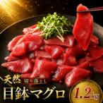 天然 メバチマグロ 切り落とし 1.2kg