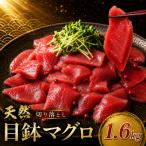 天然 メバチマグロ 切り落とし 1.6kg