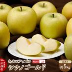 りんご シナノゴールド 約5kg