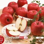 りんご ふじ 約10kg