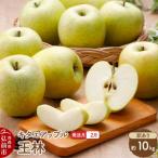 りんご サンふじ 王林 約10kg