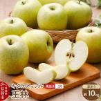 りんご あまみふじ 訳あり 約10kg