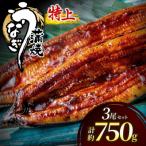 うなぎ蒲焼き3尾 計750g以上
