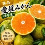 秀品 愛媛みかん 温州 極早生 みかん 5kg