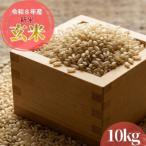 120001-8 ヒノヒカリ10kg