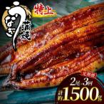 うなぎ蒲焼き500g以上 250g以上×2尾