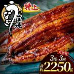 うなぎ蒲焼き750g以上 250g以上×3尾