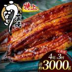 うなぎ蒲焼き1.0kg以上 250g以上×4尾