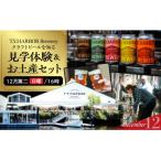 10月第二日曜16時★T.Y.HARBOR
