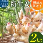新生姜 2kg