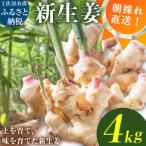 新生姜 4kg