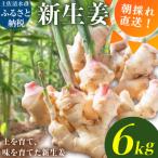 新生姜 6kg