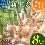 新生姜 8kg