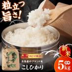 こしひかり 白米 5kg