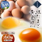 絆養鶏場 紅たまごと黄金卵 各30個セット_tb62-003