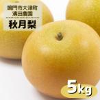 濱田農園 甘太梨 約5kg