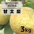 濱田農園 秋月梨 約3kg