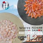 富士山サーモン R 紅白食べ比べセット 計1.2kg