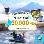 e街 Nise-Coin 30,000円分