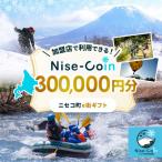 e街 Nise-Coin 300,000円分
