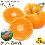 ぎょくだんケンのみかん 約5kg