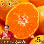 ぎょくだんマヤヤンのみかん 約5kg