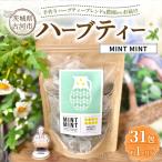 ハーブティー ミントミント 約1か月分 31teabags