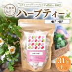 ハーブティー ヒップヒップ 約1か月分 31teabags