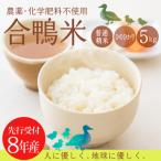 無農薬合鴨米 普通精米 5kg