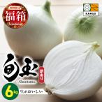 訳あり 新玉ねぎ 旬玉 6kg