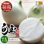 訳あり 新玉ねぎ 旬玉 7.5g